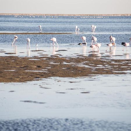 Flamingo Villas Boutique Hotel Walvis Bay Ngoại thất bức ảnh