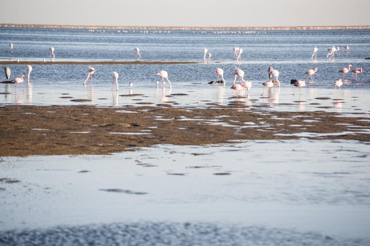 Flamingo Villas Boutique Hotel Walvis Bay Ngoại thất bức ảnh